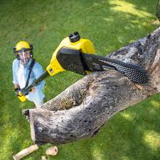 Pest Control for Lawns in South Highpoint, FL